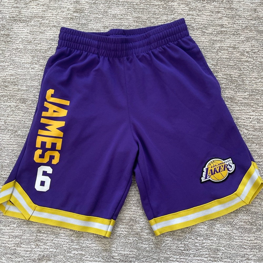Lebron James No. 6 LA Lakers NBA Purple Basketball Shorts Men’s Size Medium